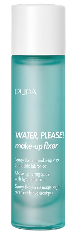 Water Please Make Up Fixer 100ml
