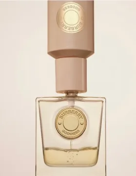 Goddess Eau de Parfum Refill /Reharge 100ml